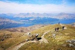 Ben Lomond Hill Walking Day Trip from Edinburgh 