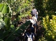 Banana Trip, a Full day tour at Pico with Round Trip from Faial island