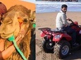 Essaouira: 1 Hour Dromedary + 2 Hours Quad