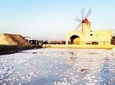 Salt tour