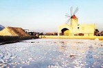 Salt tour