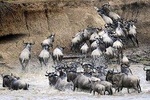 3 Day Private Lodge Safari in Serengeti National Park