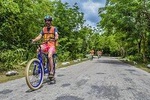 E-Bike City Tour though Cozumel & Taco Tasting Tour