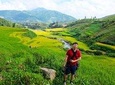 2 days authentic trekking tour in Sapa ( Homestay - Less touristy )