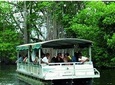 Black River Safari Tour from Montego Bay 