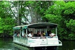 Black River Safari Tour from Montego Bay 