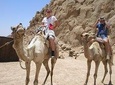 Camel ride in Sharm elsheikh desert
