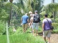 Tetebatu Walking Tour - Rice Terraces, Waterfall & Monkey Forest