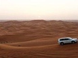 Morning Desert Safari With 20-Minutes Camel Ride