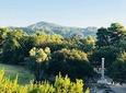 Barrier-free: Olympia and winery - 5 private groups & wheelchair users