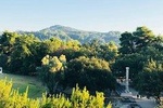 Barrier-free: Olympia and winery - 5 private groups & wheelchair users