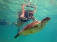 Akumal sea turtles encounter and Yal-kú lagoon snorkel, Private Experience