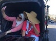 Alexandria Full Day Tour 