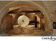 Organic Wine Tasting & Professional Tasting of Olive Oil in the OIL MUSEUM