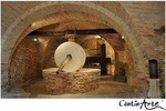 Organic Wine Tasting & Professional Tasting of Olive Oil in the OIL MUSEUM