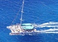 Cabo Girão Skywalk+Vineyards+Wine Tasting in 4x4 Tour + Dolphin Watching