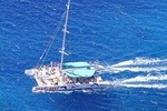 Cabo Girão Skywalk+Vineyards+Wine Tasting in 4x4 Tour + Dolphin Watching