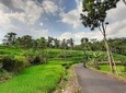 JOGJA Private Fullday Tours & Customized