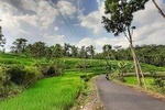 JOGJA Private Fullday Tours & Customized