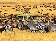 5 Day Mid-range Safari Serengeti, Ngorongoro Crater and Tarangire National Park