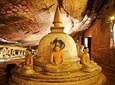 Sigiriya Rock Fortress,Dambulla Cave and Jeep Safari, Day Tour From Kandy.