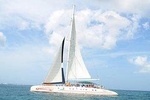 Saona Island Tour From Punta Cana