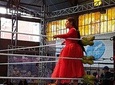 Cholitas Wrestling