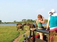 Polonnaruwa Ancient City and Jeep Safari, Day Tour From Trincomalee.