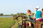 Polonnaruwa Ancient City and Jeep Safari, Day Tour From Trincomalee.