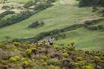 Hiking the 10 Volcanos Trail in Faial Island