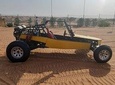 1-Hour Dunes Buggy Self-drive, Camel Riding, Sand Boarding In Red Desert Dunes