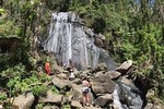 El Yunque Rainforest Hike