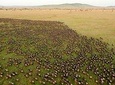 6 Days Join Group Safari Serengeti,Ngorongoro, Lake Manyara, Tarangire, Arusha