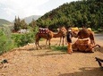 Atlas Mountain ,Three Valleys Guided Day Trip From Marrakech 