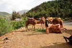 Atlas Mountain ,Three Valleys Guided Day Trip From Marrakech 