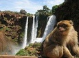 Shared group day trip from Marrakech to Ouzoud waterfalls