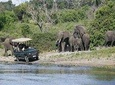 Chobe Full Day Trip