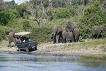 Chobe Full Day Trip