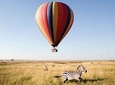 7Days Private Camping Safari Serengeti,Ngorongoro,Manyara,Tarangire,Arusha Parks