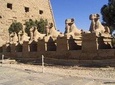 Tour of the East Bank in Luxor