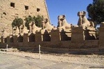 Tour of the East Bank in Luxor