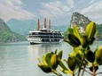 Halong Bay 2 days 1 night on Margaret Cruises 5 star LUXURY