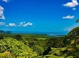 Cape Tribulation Day Tour 