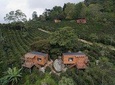 Coffee Experience at La Palma & El Tucan