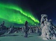 Aurora Borealis Trip in Lapland