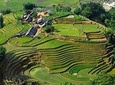 Sapa 2 Days 1 Night Trekking Tour From Hanoi - Overnight in Bungalow