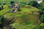 Sapa 2 Days 1 Night Trekking Tour From Hanoi - Overnight in Bungalow