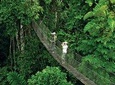 2 Day Private Safari in Tarangire and Lake Manyara National Park
