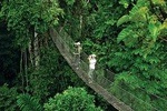 2 Day Private Safari in Tarangire and Lake Manyara National Park