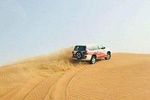 TRIPLE TREAT | Evening Safari + Quad Bike + VIP Service